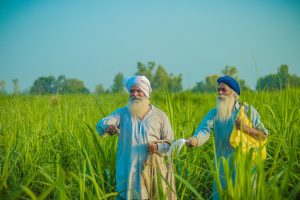 Satta Matka App Download in Punjab: Complete 2026 Guide for Indian Players